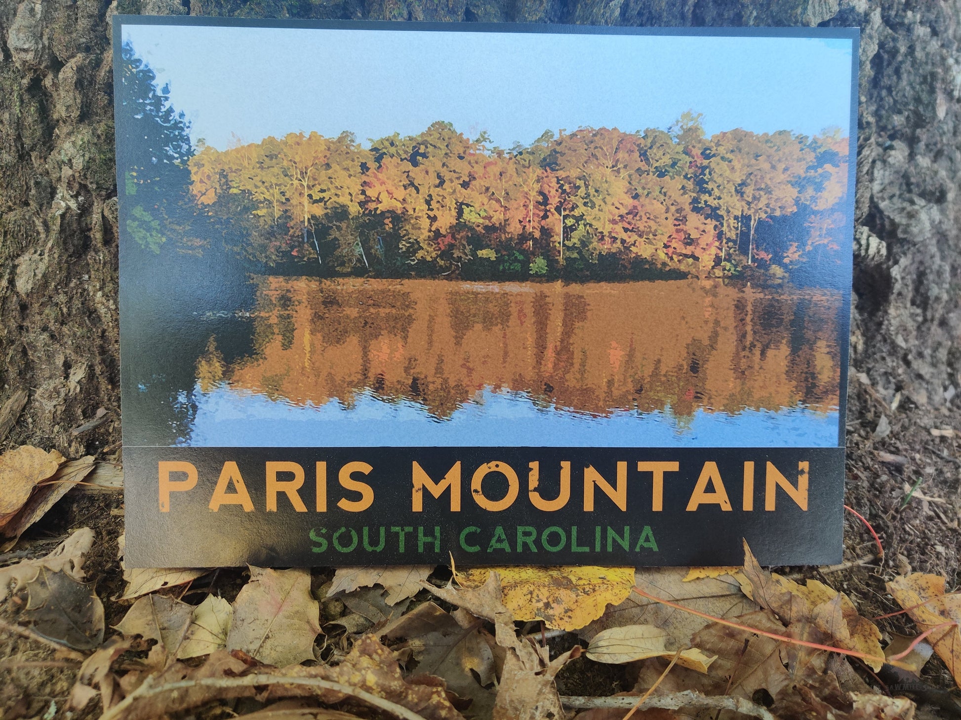 Paris Mountain South Carolina Wood Cutout-The Sawmill Shop