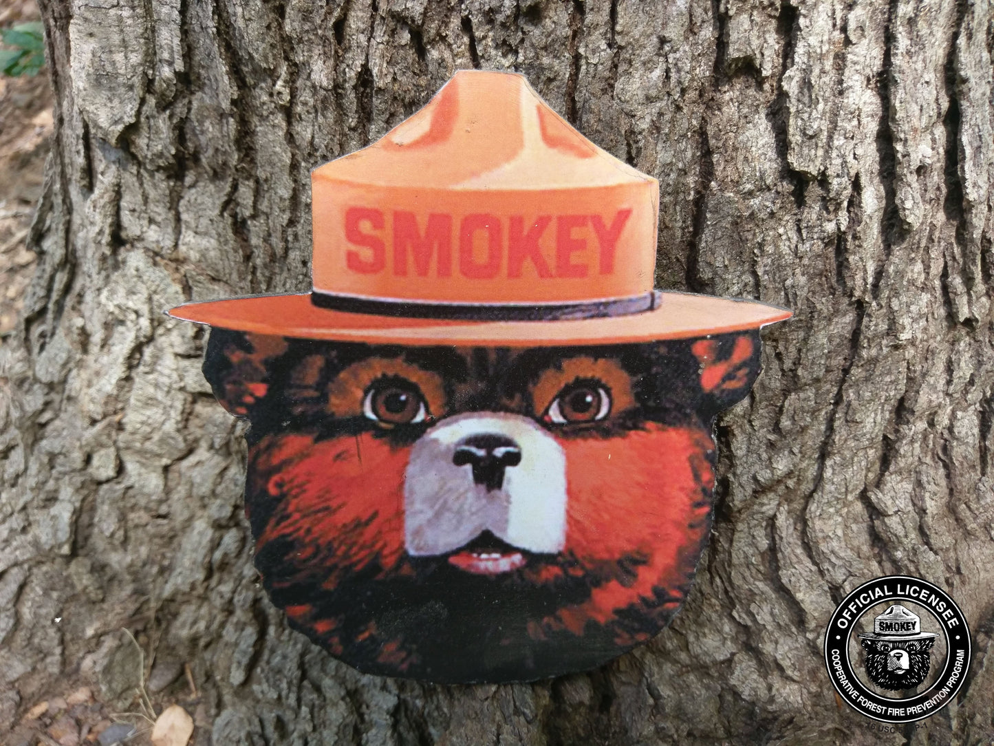 Smokey Bear Head Wood Cutout